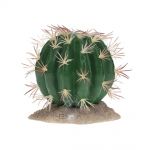 Terárijná dekorácia Echinocactus M